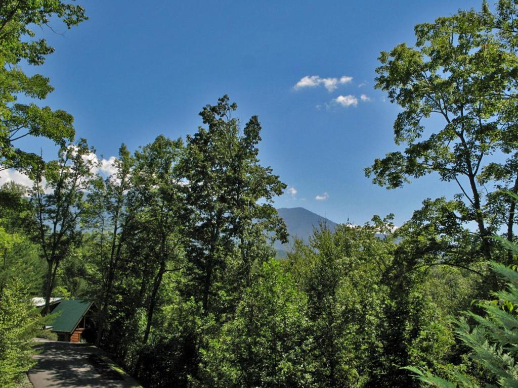 Bear'S Corner, 3 Bedrooms, Wifi, Pool Table, Hot Tub, Wifi, Sleeps 10 Gatlinburg Exteriér fotografie